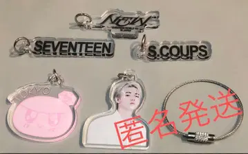 SEVENTEEN BUNKASAI DIY 에스쿱스 순철 봉봉이