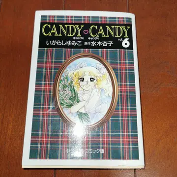 문고판 캔디 캔디 6권 이가라시 유미코