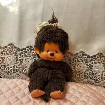 몬치치 (약 20cm) 세키구치 H