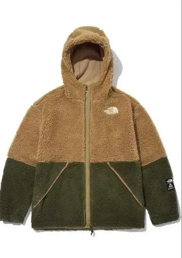 THE NORTH FACE LYMAN EX FLEECE HOODIE