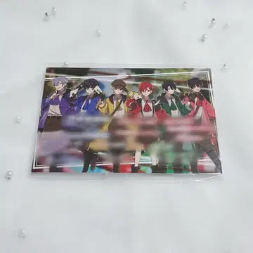 사파리아 1주년 혜택 엽서