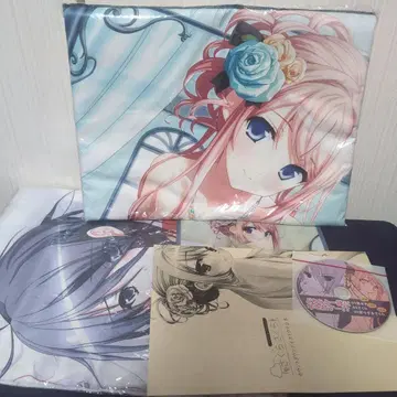 사쿠라 사쿠라 정리