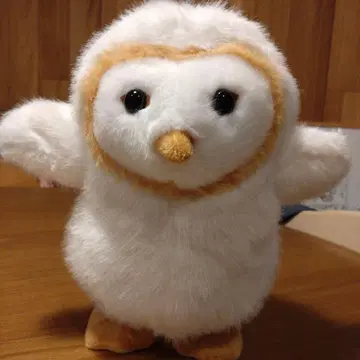 올빼미 봉제 인형 엣호에호