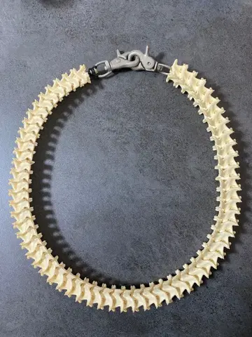 뱀뼈 지갑 체인