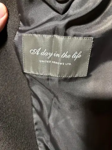 A day in the life 브라운 체스터 코트