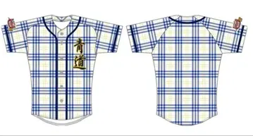 다이아 A 올스타 게임 프리미엄 시트 특전 유니폼