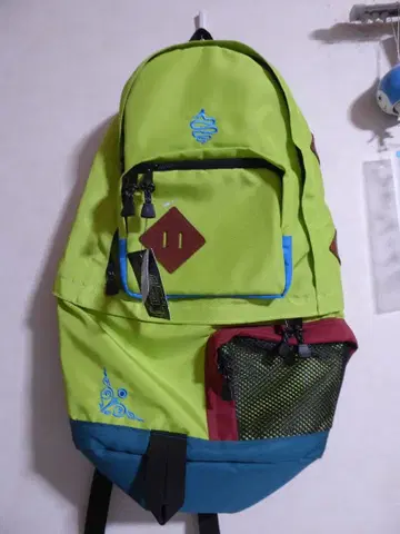 알디스 aldies long 백팩 백팩