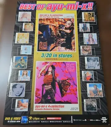 하마사키 아유미 BEST OF ayu-mi-x!! 고지 패널