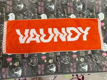 Vaundy 타월