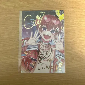 스타포라 Coe. 입장 혜택