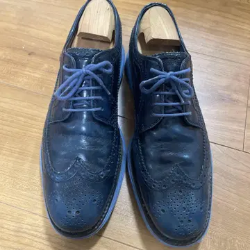 콜한 루나그랜드