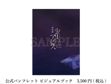 낭독극 소년의 아비스 공식 팜플렛 비주얼북