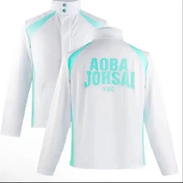 하이큐 아오바죠사이 저지 비공식