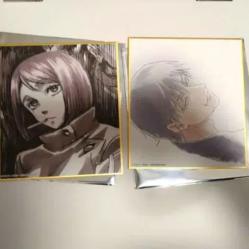 주술회전전 후시구로 토우지 색지