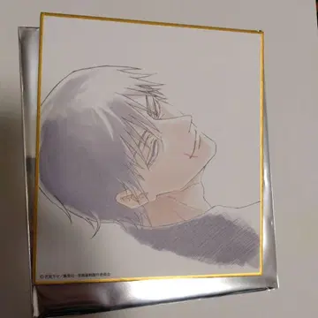 주술회전전 후시구로 토우지 색지