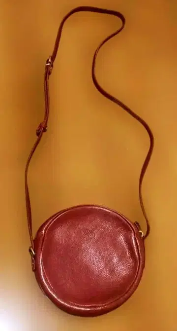 일비종떼 숄더백