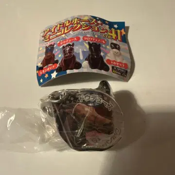 아이돌 호스 미니 컬렉션 VOL 41 두두스