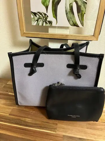 GIANNI CHIARINI 투모로우랜드 한정판 색상