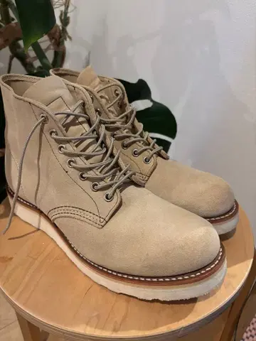 REDWING x TAKAYUKI FUJII for BIOTOP