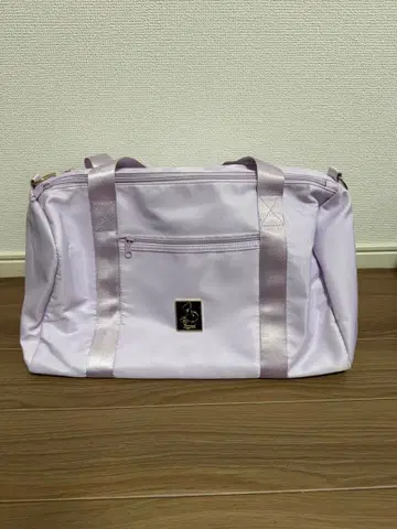 라푼젤 보스턴 백