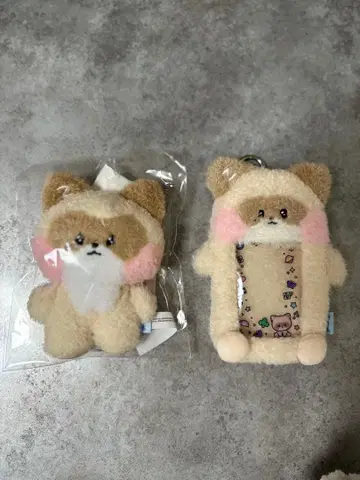 ZB1 하니니 2점 판매