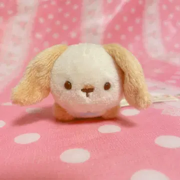 [ 미사용 택 포함 ] 스미코구라시 이상한 토끼 정원 견습 토끼