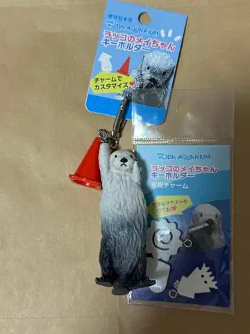 도바 수족관 랏코 메이짱 키링 컬러콘 참