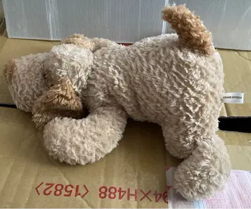 봉제 인형 강아지 young epoch