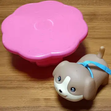 멜짱 포코 (강아지)와 테이블