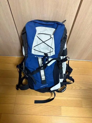 DAKINE POACHER 백팩