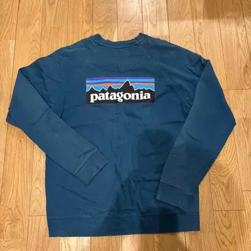patagonia 다크 블루 그린 트레이닝복