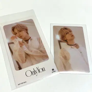 MAZZEL Only You 나오야 NAOYA 스티커 트레이딩 카드