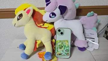 포켓몬 포니타 갈라르포니타 2체 세트