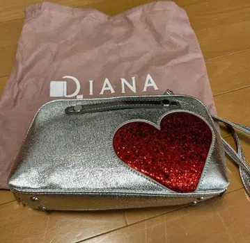 다이애나 파우치 백