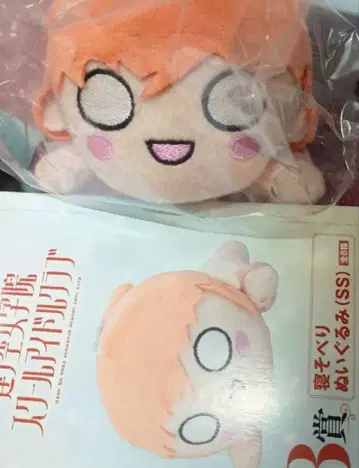 세가 럭키 쿠지 네소베리 봉제 인형 히노시타 카호