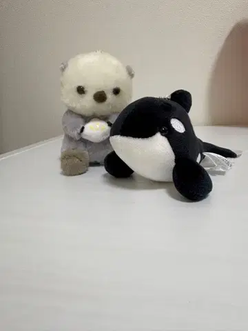 스마시의 범고래 & 해달 라이짱 봉제 인형 키링 2개 세트