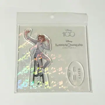 케이트 다이아몬드 아크릴 스탠드 Disney100 오로라 아크릴 스탠드