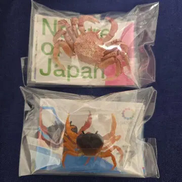 네이처 테크니컬러 게 2체 세트