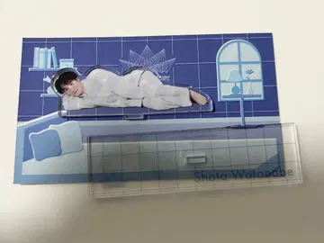 SnowMan 와타나베 쇼타 RAYS