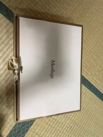 [ 새상품 미사용 ] Merfirge 100% 캐시미어 머플러 베이지