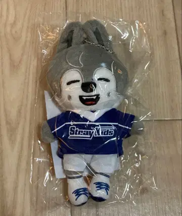 straykids 울프찬 백참 팝업