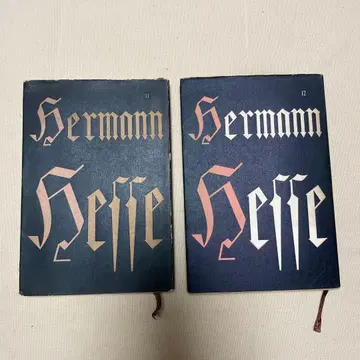 헤르만 헤세 전집 11, 12