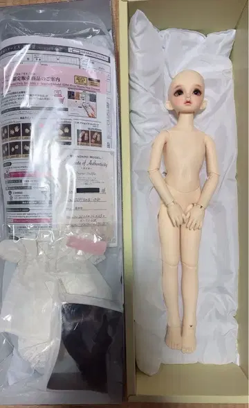 슈퍼돌피 SDM 스탠다드 모델 노아