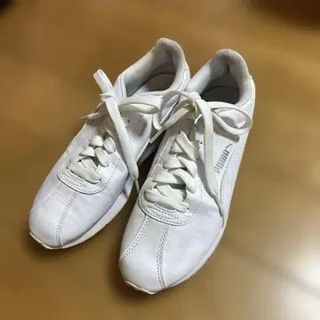 PUMA 화이트 스니커즈