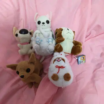 강아지 봉제 인형 세트 5개 세트