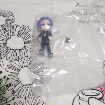 블루 록 PalVerse 레오