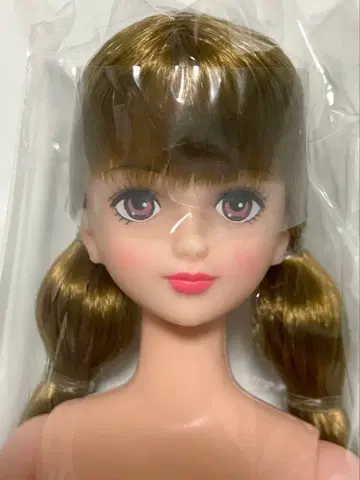 즐거운 인형 시온 리카짱 캐슬