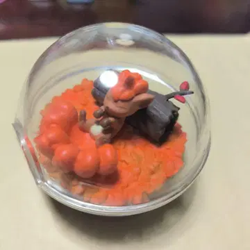 포켓몬 테라리움 로콘