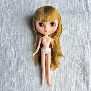 중고 타카라토미 브라이스4 본체만 버시티 딘?