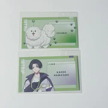 명함풍 카드 하마사키 카에데 슈마이